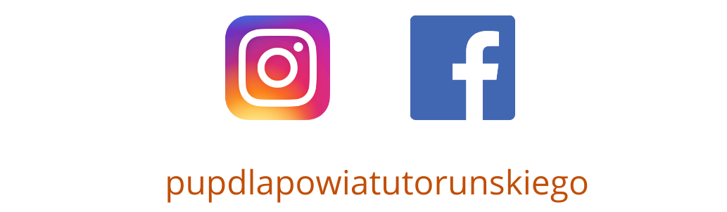 Logo FB Insta