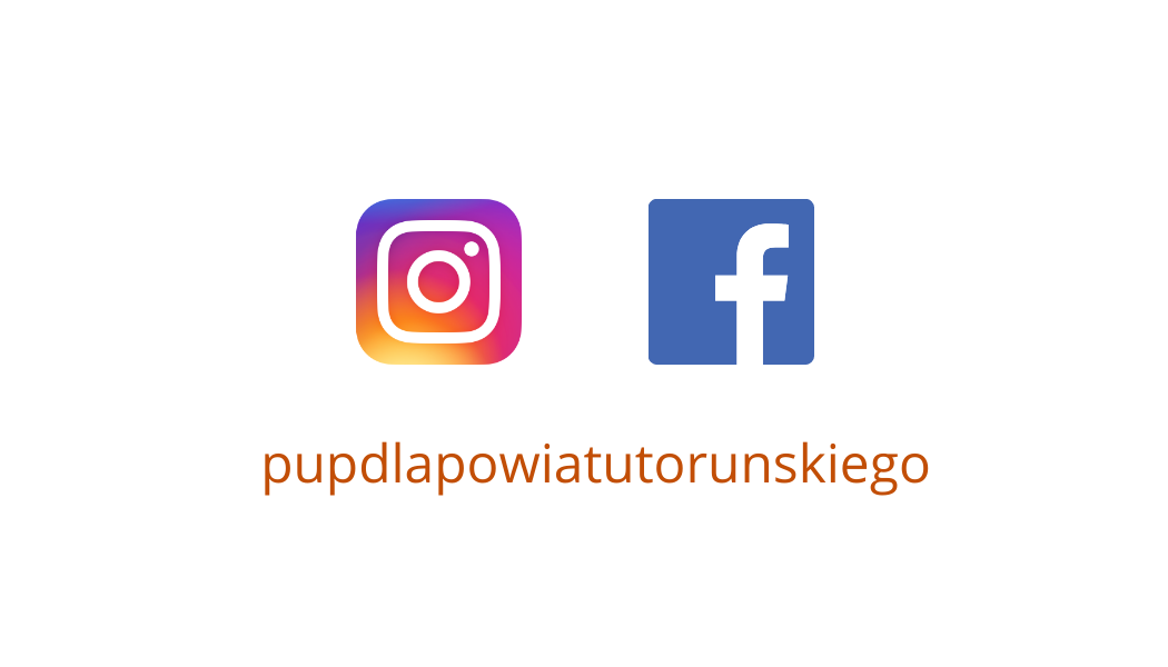 Logo Facebook i instagram PUP dla PT